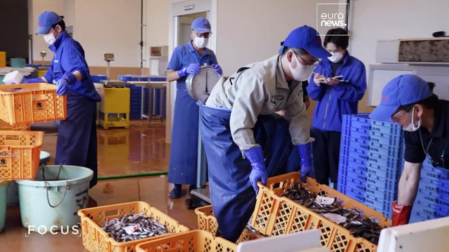Rejet des eaux traitées en mer : la vie reprend son cours à Fukushima