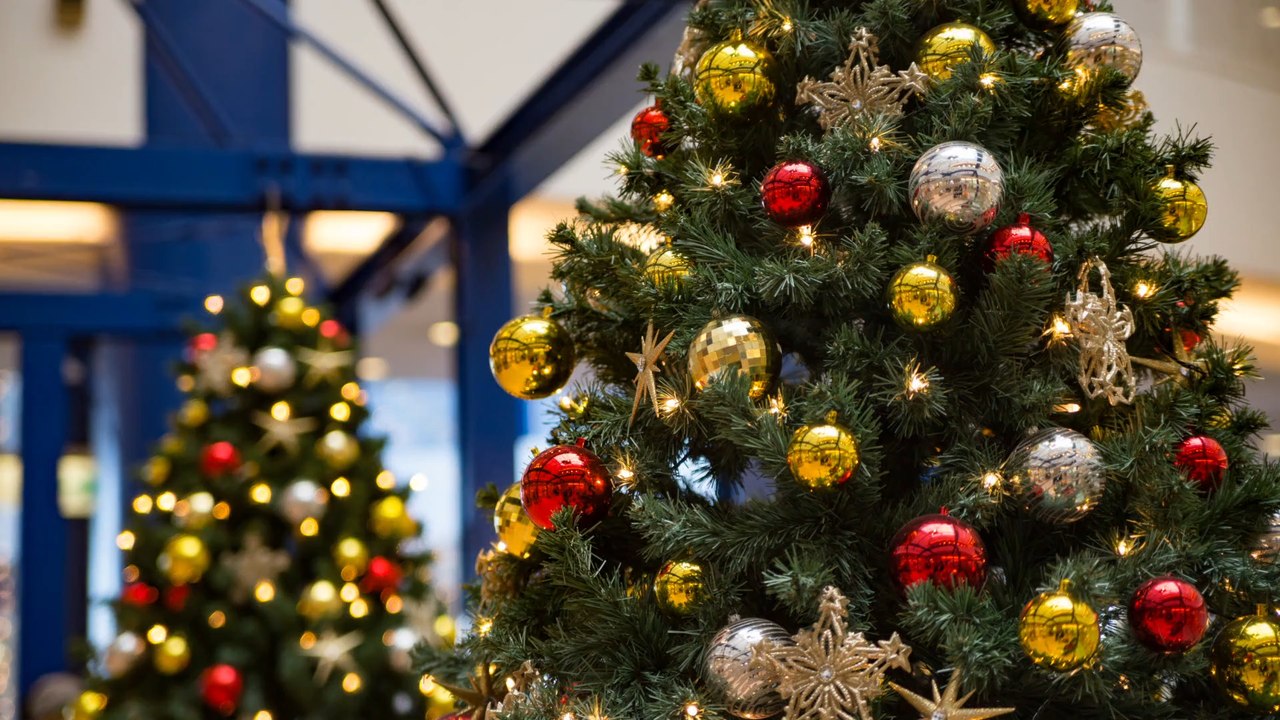 So bleibt der weihnachtsbaum länger frisch