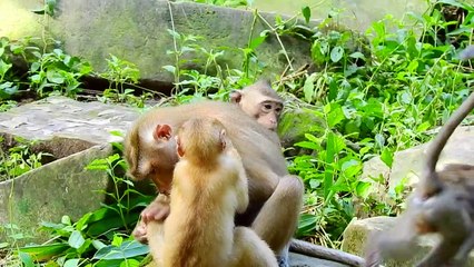 Lovely! Adorable Pretty tried to ask Libby for h-ugged bb Rainbow