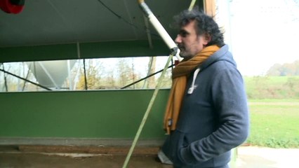 Птичий грипп в Европе