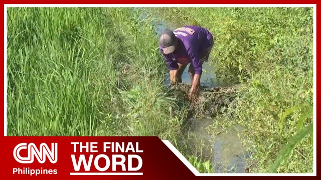 World Bank flags shortcomings in PH agriculture policy