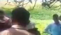 अयोध्या: आम के पेड़ में फांसी के फंदे से लटकता मिला युवती का मिला शव, जांच में जुटी पुलिस