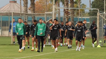 Les Zèbres en stage hivernal en Turquie