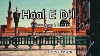 Hal e Dil kis ko sunaye, Tahir Qadri Naat