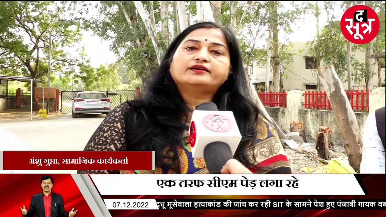 Danish nagar ped_