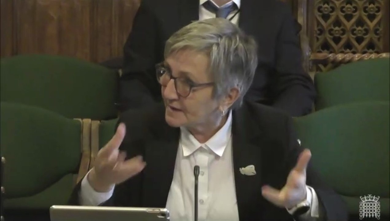 Dissident republican influence lessened significantly in Derry after murder of Lyra McKee, Prof. Marie Breen-Smyth