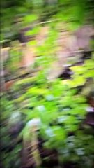 Paranormal activity ghost on camera part 27