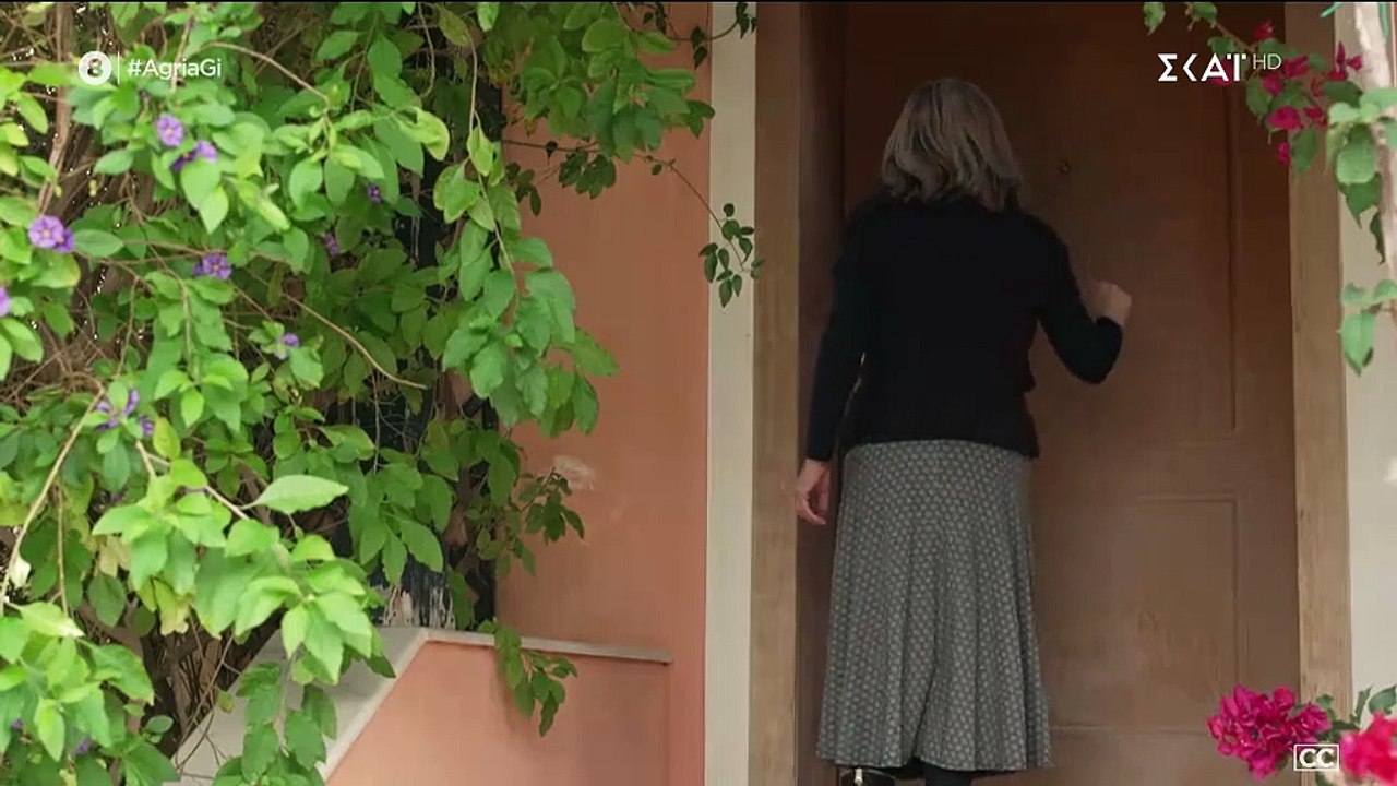 Άγρια γη 58