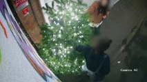 Real-life Grinch gets instant karma after he karate kicks a community's Christmas tree