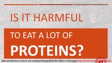 Is it harmful to eat too much protein?