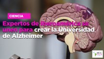Expertos de Iberoamérica se unen para crear la Universidad de Alzheimer
