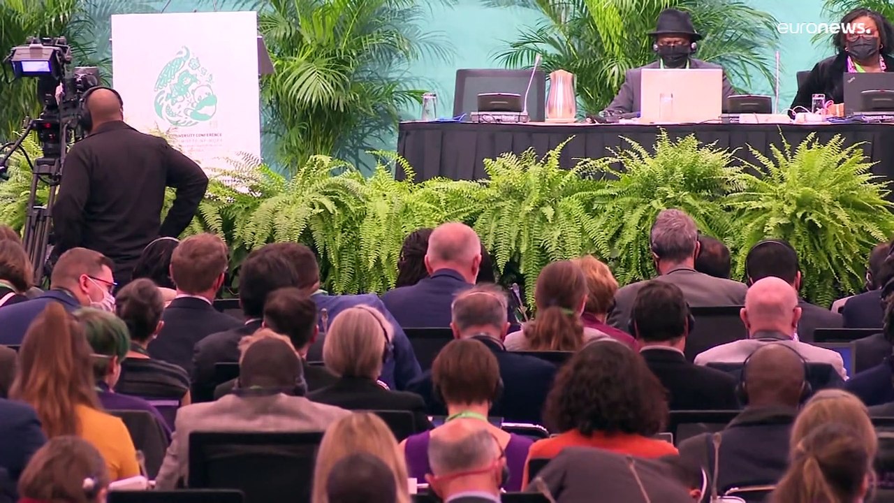 António Guterres pide un "pacto de paz con la naturaleza"