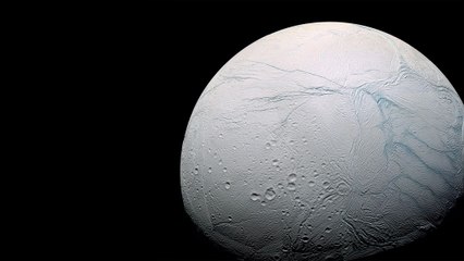 What If We Found Alien Life on Enceladus?