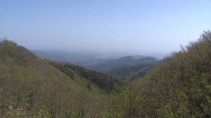 [날씨] 중부 짙은 안개...충청 이남 초미세먼지 증가 / YTN