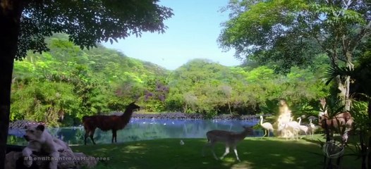 Jesus 06/12/2022 Capitulo 1 HDTV Completo