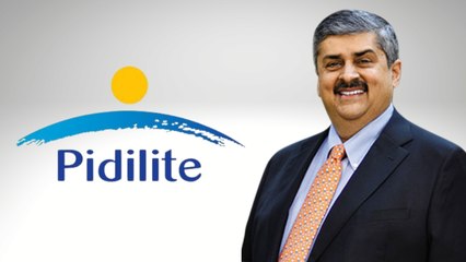 फेविकॉल वाली कंपनी Pidilite किस कैटेगरी में देख रही है ग्रोथ, MD भरत पुरी से जानिए