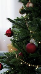 Should Christians Celebrate Christmas?