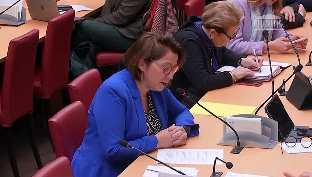 Commission des affaires économiques : M. Philippe Wahl, président-directeur général du groupe La Poste - Mercredi 7 décembre 2022