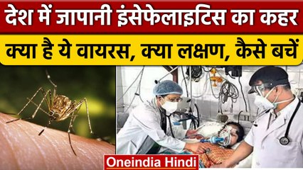 Japanese Encephalitis की India में एंट्री, जानें कहां मिला पहला मरीज़ ? | वनइंडिया हिंदी *News