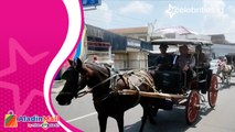 Asyik, Tamu Undangan Kaesang dan Erina Gudono akan Dijemput Delman dan Becak