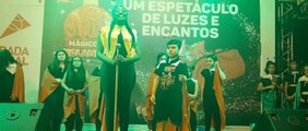 A FORMIGA MÁ E AS CIGARRAS CANTORAS - REVIRADA CULTURAL HOLAMBRA ( P2)