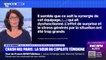Crash du vol Rio-Paris: "Le parquet a pris le parti de défendre les sociétés Airbus et Air France, pas les citoyens ni la sécurité aérienne", déplore la sœur du copilote
