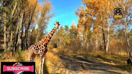 सच्चा प्यार और झूठा प्यार
