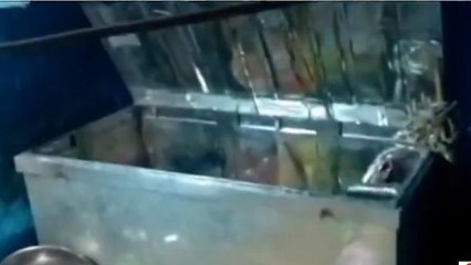 दतिया: परिजन कमरे में सोते रहे और चोरों ने बेख़ौफ़ होकर उड़ाए लाखों रूपये,देखें पूरा मामला