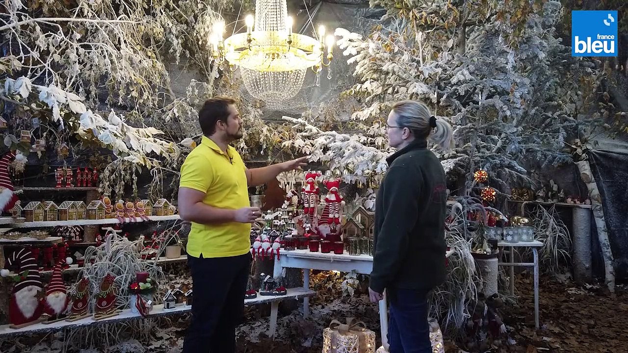 3/5 : les décorations et sapins de Noël