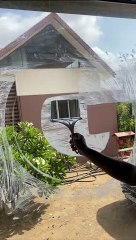 Window cleaner artist #artist #window #fun