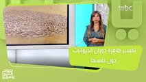 التفسير العلمي لظاهرة دوران الحيوانات حول نفسها..هل هي من علامات يوم القيامة!