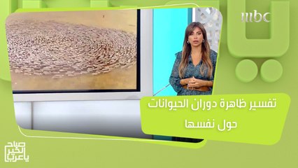 التفسير العلمي لظاهرة دوران الحيوانات حول نفسها..هل هي من علامات يوم القيامة!