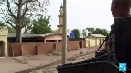 Nigerian military allegedly ran secret mass abortion programme in war on Boko Haram