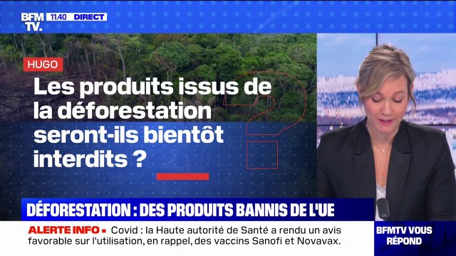 Les produits issus de la déforestation seront-ils bientôt interdits? BFMTV répond à vos questions
