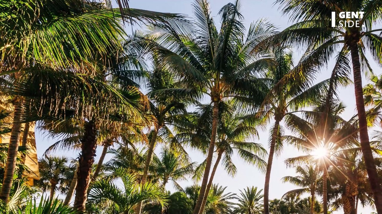 Neuer Fund bei Donald Trump: Weitere Regierungsdokumente beschlagnahmt