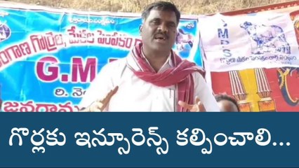 స్టేషన్ ఘనపూర్: మాపై దాడులు చేసి.. గొర్లను ఎత్తుకెళ్తున్నారు..!