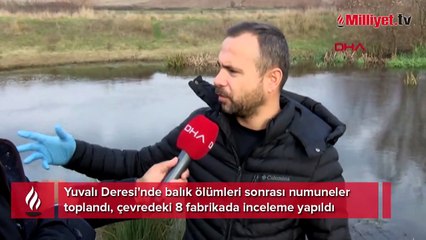 Yuvalı Deresi'ndeki balık ölümlerine ilişkin 8 fabrikada inceleme
