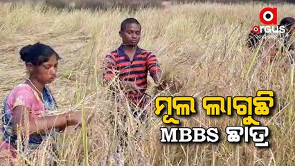 Video herunterladen: Odisha MBBS Student Works In Farmland To Fund His Study, Seeks Financial Help