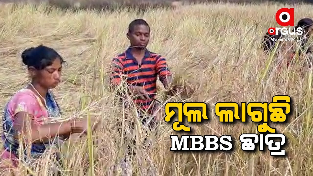 Odisha MBBS Student Works In Farmland To Fund His Study, Seeks Financial Help