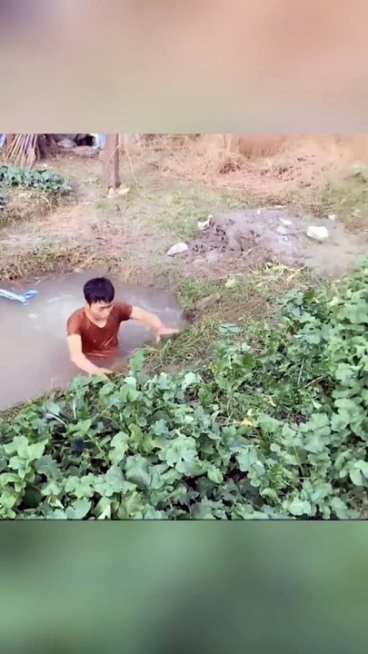 funny videos | prank video | video lucu | funny moments | video lucu bikin ngakak | funny | funny animal