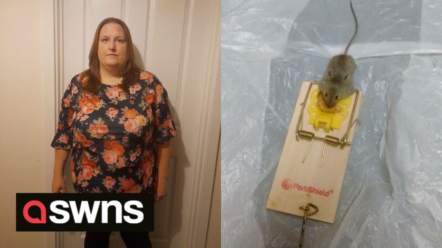 Mum of three petrified of rodents is trying to put an end to a seven-year mouse and rat infestation