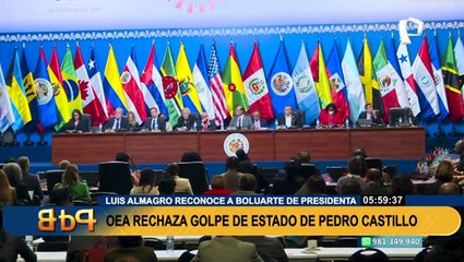 Consejo Permanente de la OEA se pronuncia tras la vacancia de Pedro Castillo