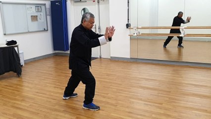 Tai Chi - Yang Forme 18 de Singapour par Mickaël