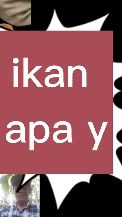 Hayo.tebak ikan apa?