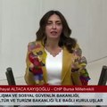 CHP'li vekil TBMM bütçe görüşmelerinde Karagöz-Hacıvat oynattı