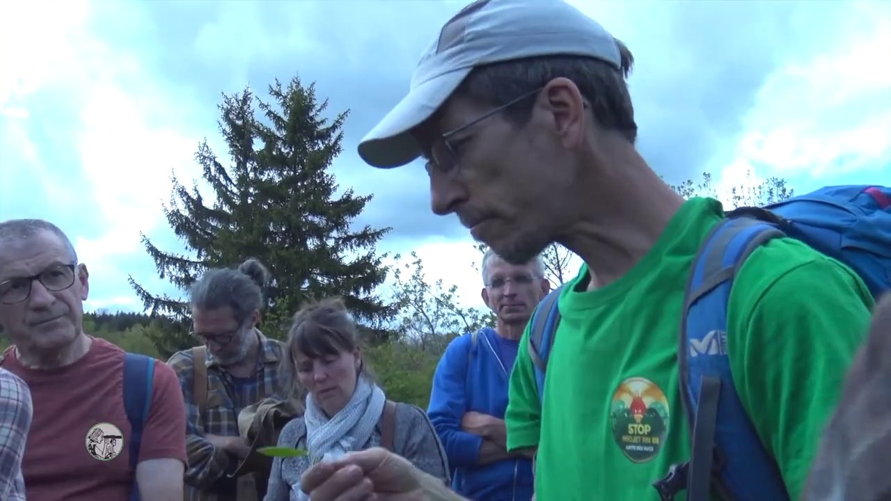Lutte des sucs, Saint-Hostien, balade botanique.