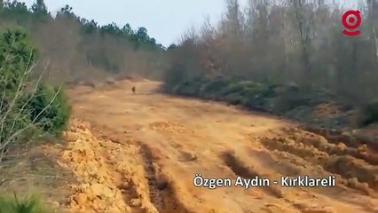 Avcıdan tavşan ve köpeğe Trakya şiveli seslendirme