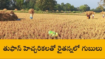 బొబ్బిలి: తుపాను హెచ్చరికలు జారీ... రైతుల్లో ఆందోళన