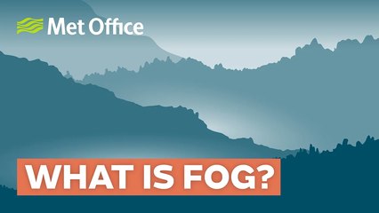 What Is Fog? Types and Formation Explained 🌫️