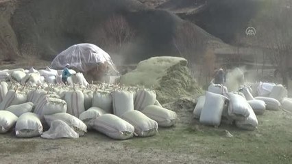 Besicilerin kışlık yem mesaisi sürüyor